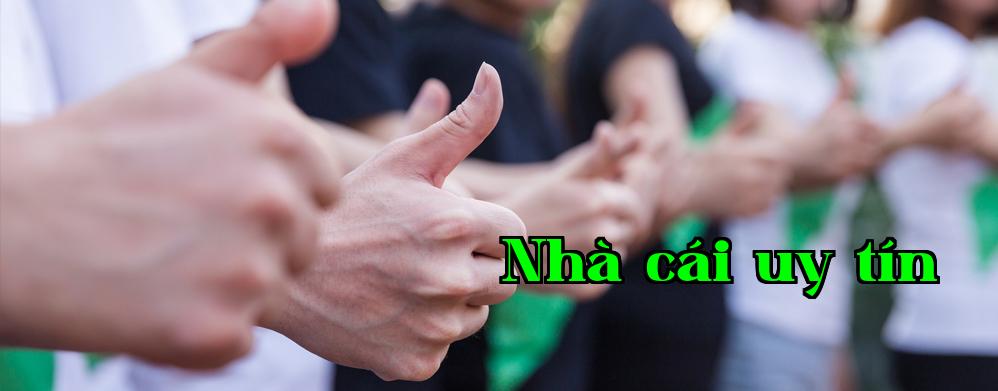 Đây là thông tin mô tả