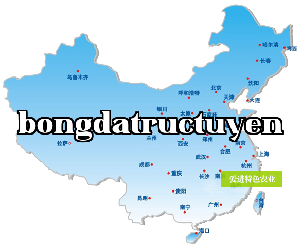 Đây là thông tin mô tả
